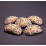 Mohnbrötchen 5er