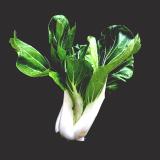 Pak Choi