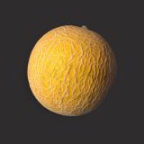 Melone "Galia"