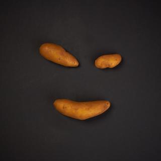 Kartoffeln "Dänische Fingerkartoffel" festk.