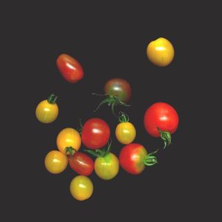 Kirschtomaten Mix