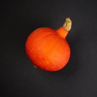 Hokkaidokürbis