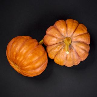 Futsu Black Kürbis