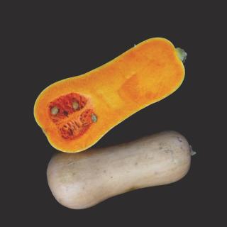 Butternut Kürbis