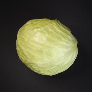 Weißkohl, neue Ernte