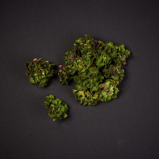 Flower Sprouts