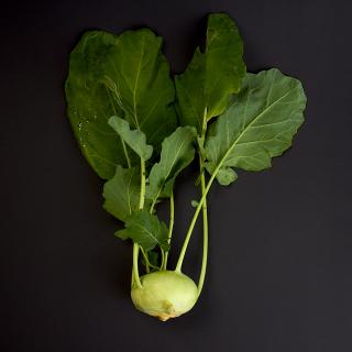 Kohlrabi