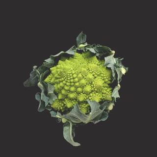 Romanesco