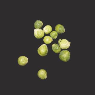 Rosenkohl