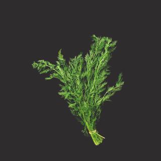 Dill