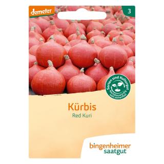 Hokkaido Kürbis - Saatgut