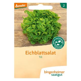 Eichblattsalat - Saatgut