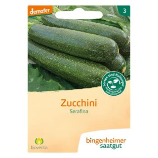 Zucchini