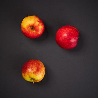 Apfel "Jonagold"