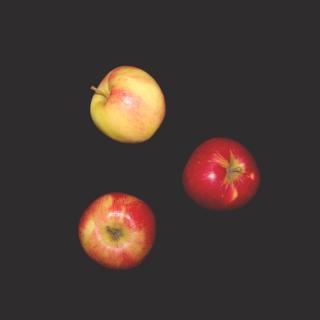 Apfel "Santana"