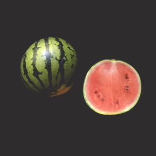 Wassermelone mini