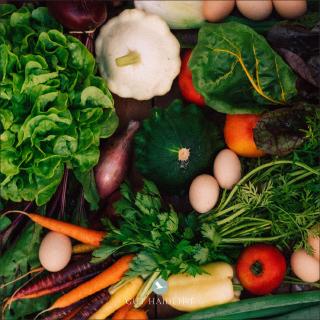 Haidehof Saison-Biokiste groß