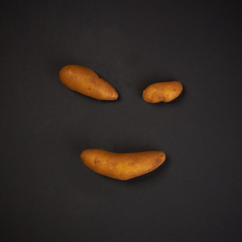 Kartoffeln "Dänische Fingerkartoffel" festk.