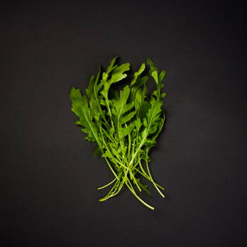 wilde Rauke/Rucola