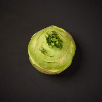 Kohlrabi Superschmelz