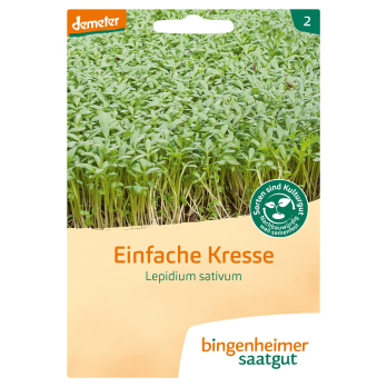Kresse - Saatgut