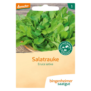 Salatrauke Rucola - Saatgut