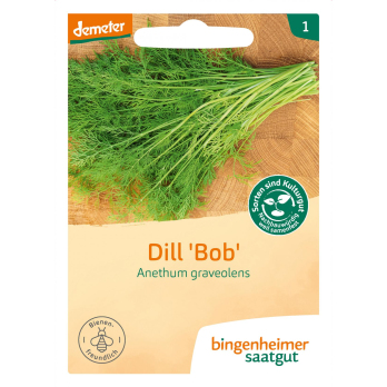 Dill - Saatgut