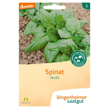 Spinat - Saatgut
