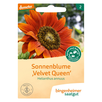 Sonnenblumen - Saatgut