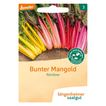 Mangold ''Rainbow'' - Saatgut