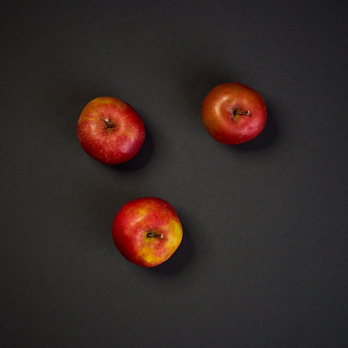 Apfel "Roter Boskoop"