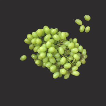 Trauben weiß, kernlos