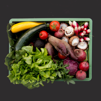 Gemüse Biokiste mittel