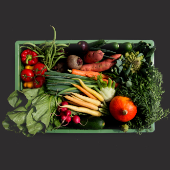 Gemüse Biokiste groß