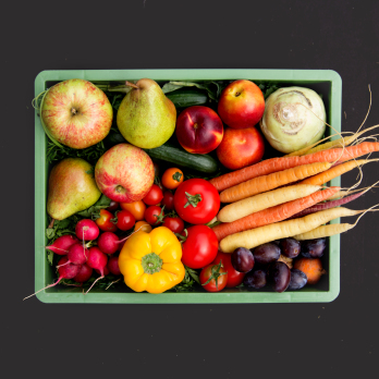 Rohkost Biokiste klein