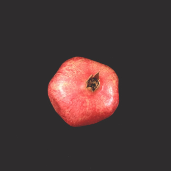 Granatapfel