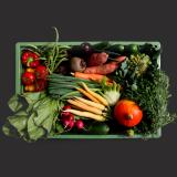 Gemüse Biokiste groß