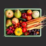 Rohkost Biokiste mittel