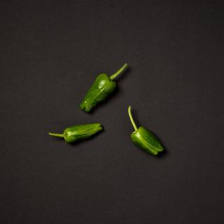 Bratpaprika grün ''Padrón''