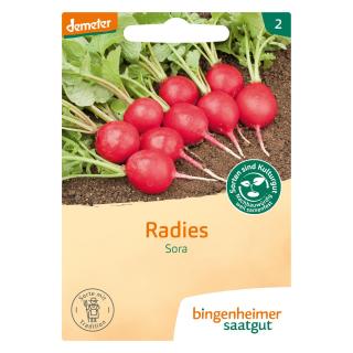 Radieschen - Saatgut
