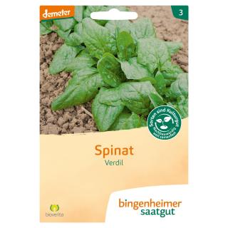 Spinat - Saatgut