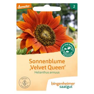 Sonnenblumen