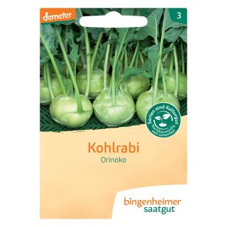 Kohlrabi - Saatgut