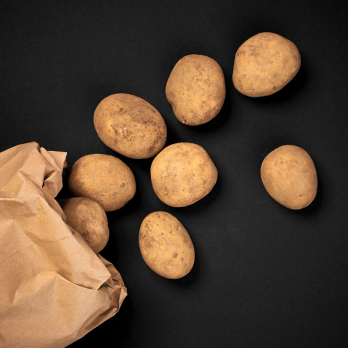 Kartoffeln "Lilly" mehlig