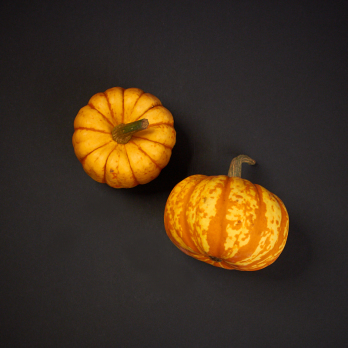 Sweet Lightning Kürbis