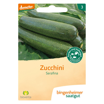 Zucchini