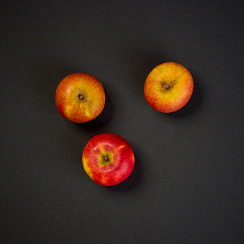 Apfel "Holsteiner Cox"