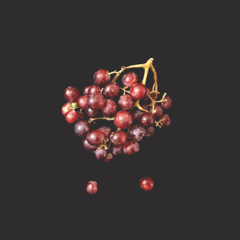 Trauben rot, kernlos