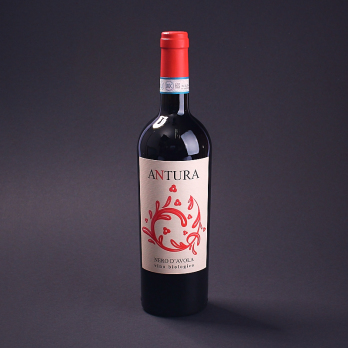 Nero d''Avola Sicilia 2022