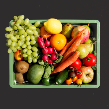 Obst&Gemüse Biokiste mittel